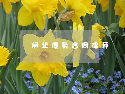 闸北债务合同律师 闸北债务合同律师