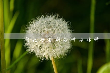 闸北债务纠纷诉讼律师 闸北债务纠纷诉讼律师