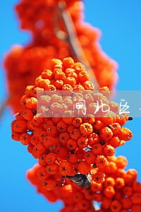 闸北区债务纠纷律师服务咨询 闸北区债务纠纷律师服务咨询
