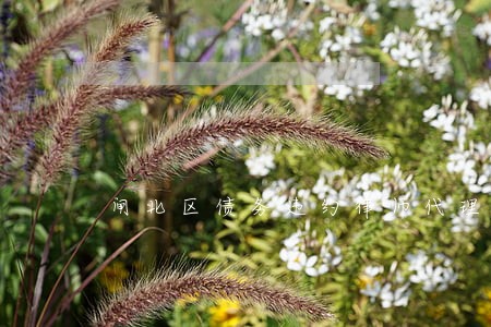闸北区债务违约律师代理 闸北区债务违约律师代理