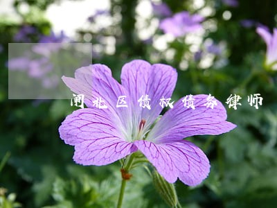 闸北区债权债务律师 闸北区债权债务律师