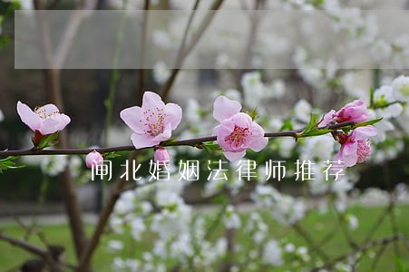 闸北婚姻法律师推荐 闸北婚姻法律师推荐
