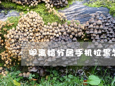 闹离婚分居手机拉黑怎么办 闹离婚分居手机拉黑怎么办