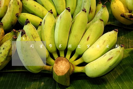 闺蜜帮男朋友贷款逾期 闺蜜帮男朋友贷款逾期