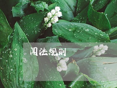 闻法规则