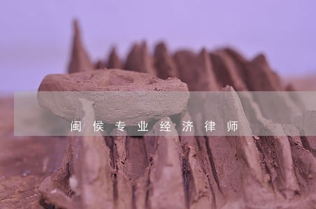闽侯专业经济律师 闽侯专业经济律师