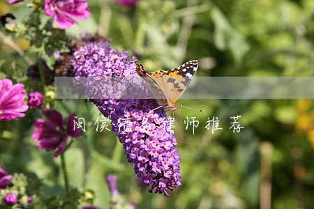闽侯债务律师推荐 闽侯债务律师推荐