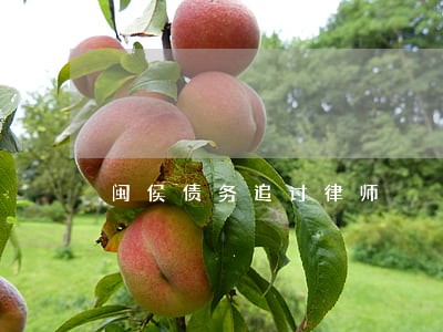 闽侯债务追讨律师