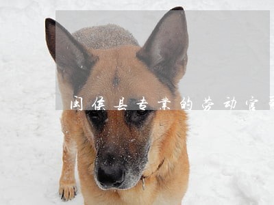 闽侯县专业的劳动官司律师电话 闽侯县专业的劳动官司律师电话