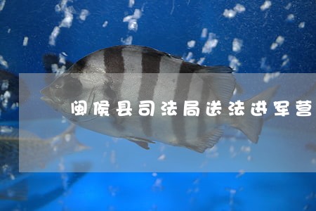 闽侯县司法局送法进军营 闽侯县司法局送法进军营