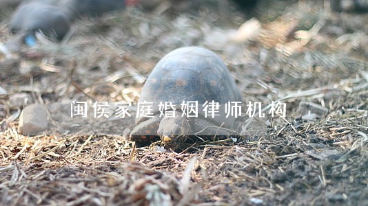 闽侯家庭婚姻律师机构 闽侯家庭婚姻律师机构