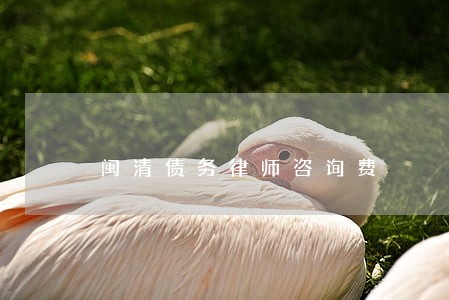 闽清债务律师咨询费 闽清债务律师咨询费