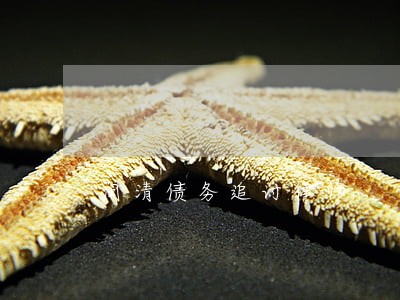 闽清债务追讨律师 闽清债务追讨律师