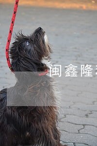 闽鑫隆租赁逾期上不上征信