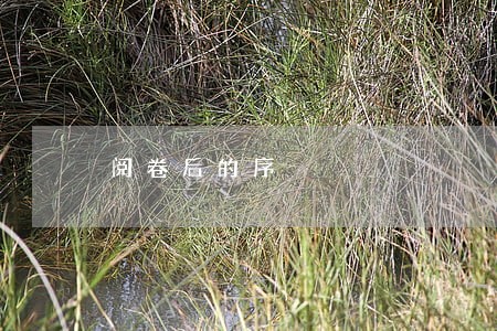 阅卷后的序