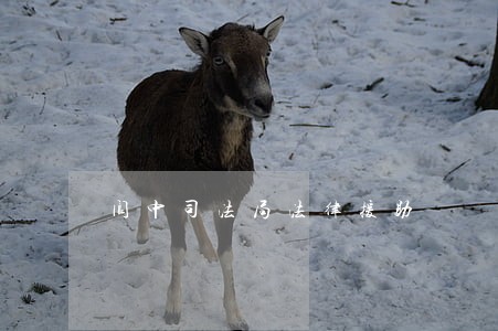 阆中司法局法律援助 阆中司法局法律援助