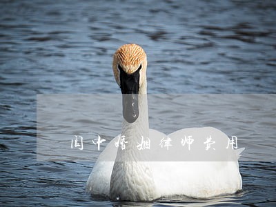阆中婚姻律师费用 阆中婚姻律师费用