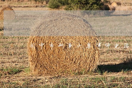阆中市刑事大案律师电话号码 阆中市刑事大案律师电话号码