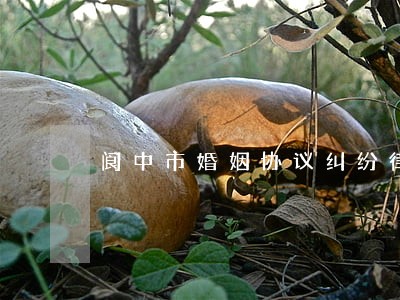 阆中市婚姻协议纠纷律师收费标准