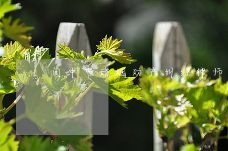 阆中市婚姻财产纠纷律师团 阆中市婚姻财产纠纷律师团