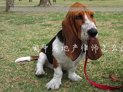 阆中房地产律师怎么选 阆中房地产律师怎么选