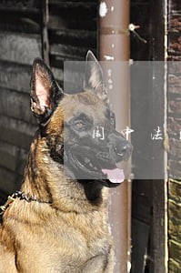 阆中法院对夏喜 阆中法院对夏喜