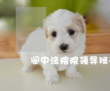 阆中法院院领导班子
