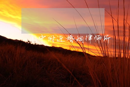 阆中附近婚姻律师所 阆中附近婚姻律师所