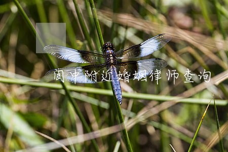 阆中附近婚姻律师查询 阆中附近婚姻律师查询