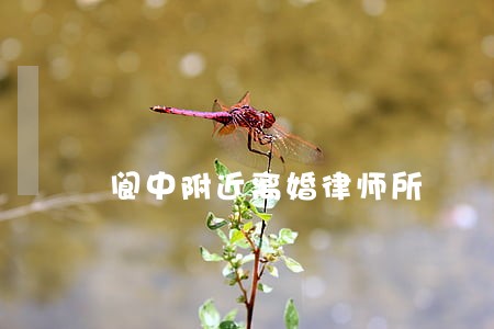 阆中附近离婚律师所 阆中附近离婚律师所