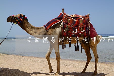 阎良债务纠纷咨询律师如何收费 阎良债务纠纷咨询律师如何收费