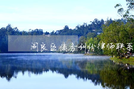 阎良区债务纠纷律师联系方式 阎良区债务纠纷律师联系方式