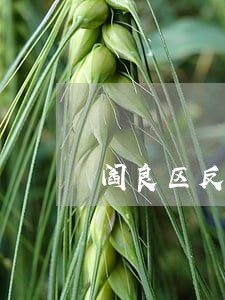 阎良区反倾销反补贴律师在线咨询 阎良区反倾销反补贴律师在线咨询