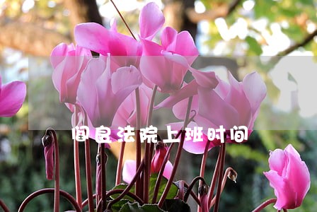 阎良法院上班时间 阎良法院上班时间