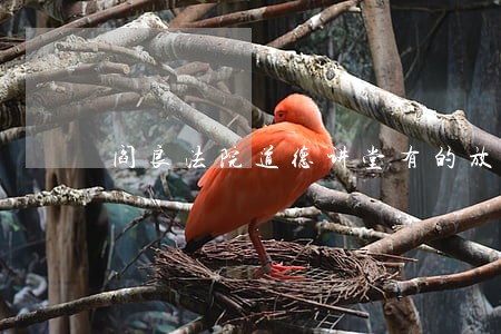 阎良法院道德讲堂有的放矢 阎良法院道德讲堂有的放矢