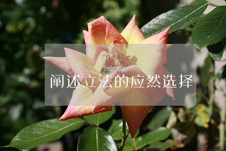 阐述立法的应然选择 阐述立法的应然选择