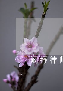阚抒律师