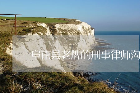 阜南县老牌的刑事律师沟通合作