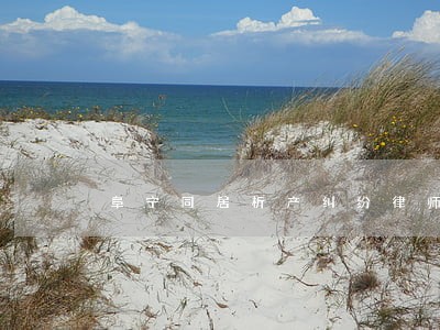 阜宁同居析产纠纷律师