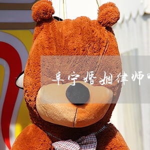 阜宁婚姻律师哪个好 阜宁婚姻律师哪个好