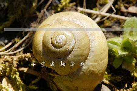 阜宁定融逾期 阜宁定融逾期