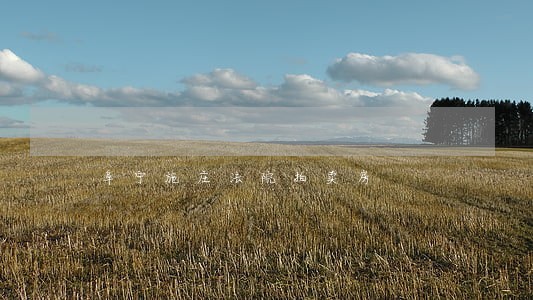 阜宁施庄法院拍卖房