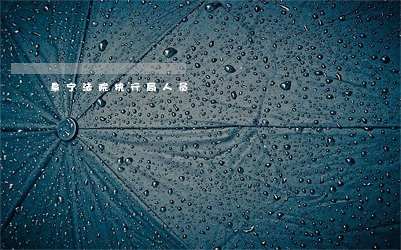 阜宁法院执行局人员 阜宁法院执行局人员