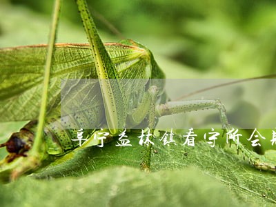 阜宁益林镇看守所会见律师 阜宁益林镇看守所会见律师