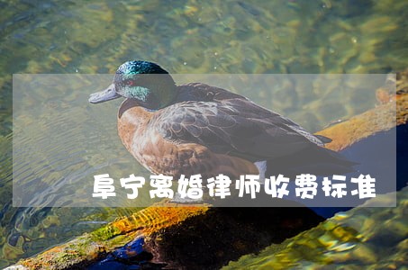 阜宁离婚律师收费标准 阜宁离婚律师收费标准