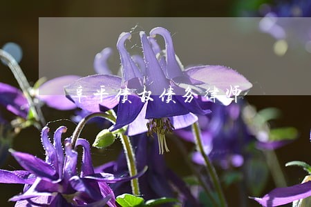 阜平债权债务律师 阜平债权债务律师