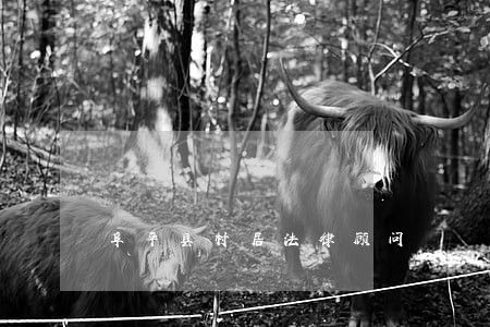 阜平县村居法律顾问 阜平县村居法律顾问