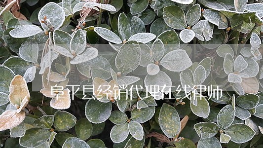 阜平县经销代理在线律师 阜平县经销代理在线律师