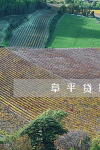 阜平贷款逾期清理 阜平贷款逾期清理