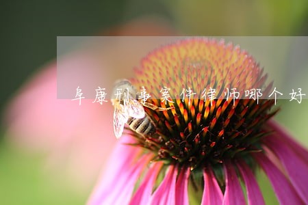 阜康刑事案件律师哪个好